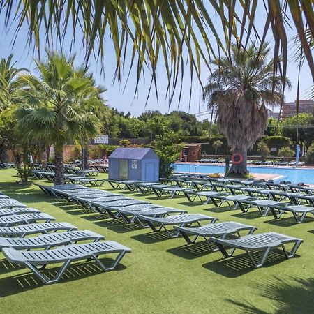 Apartments In Blanes/Costa Brava 35181 المظهر الخارجي الصورة